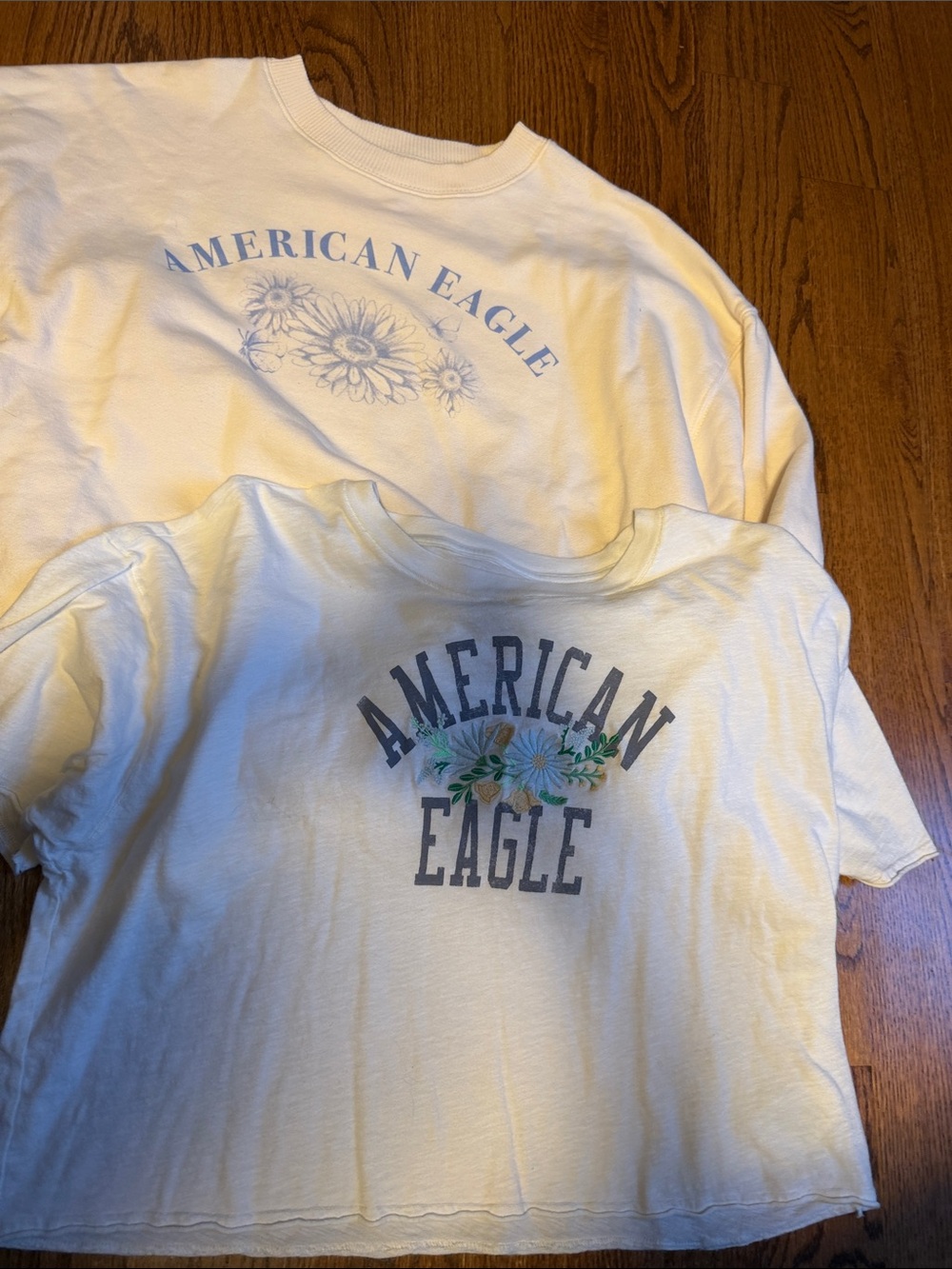 AEO bundle - size M - American Eagle branded sweatshirt and tshirt with flowers